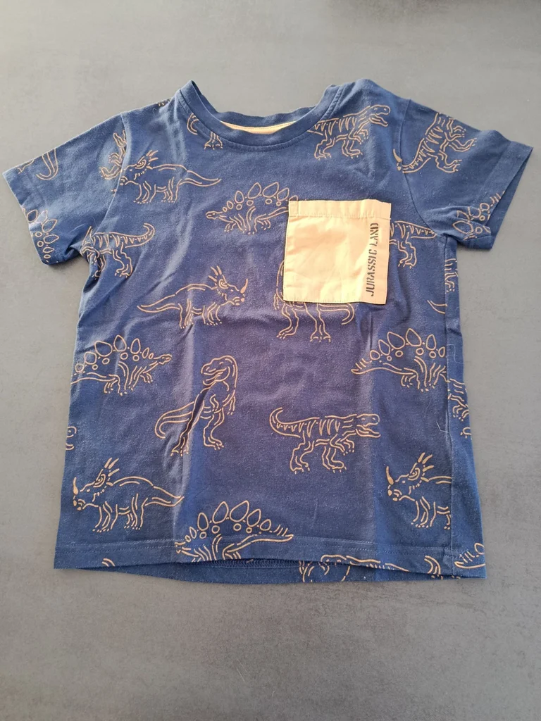 Tee-shirt Dinosaure taille 6 ans 